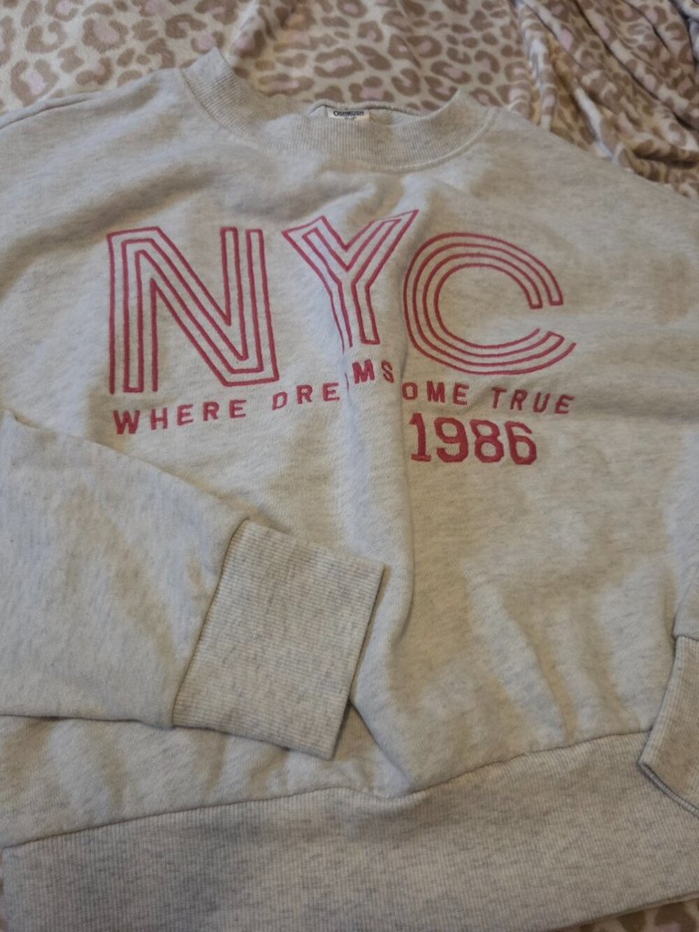 Sweatshirt set